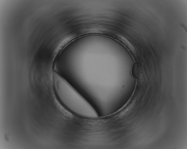X0000092310938200709141028