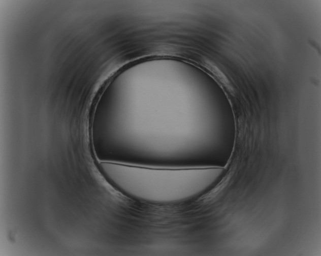 X0000092310939200709141028