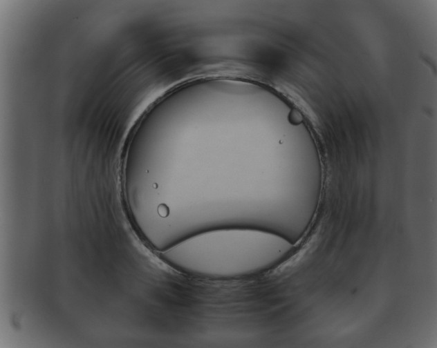 X0000092310941200709141028