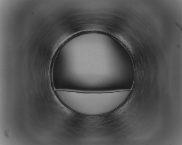 X0000092310943200709141028
