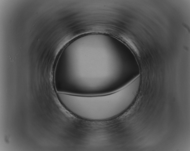 X0000092310944200709141028
