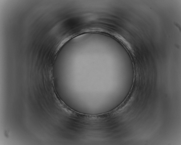 X0000092310945200709141028