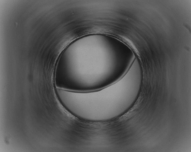 X0000092310946200709141028