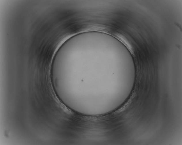 X0000092310948200709141028