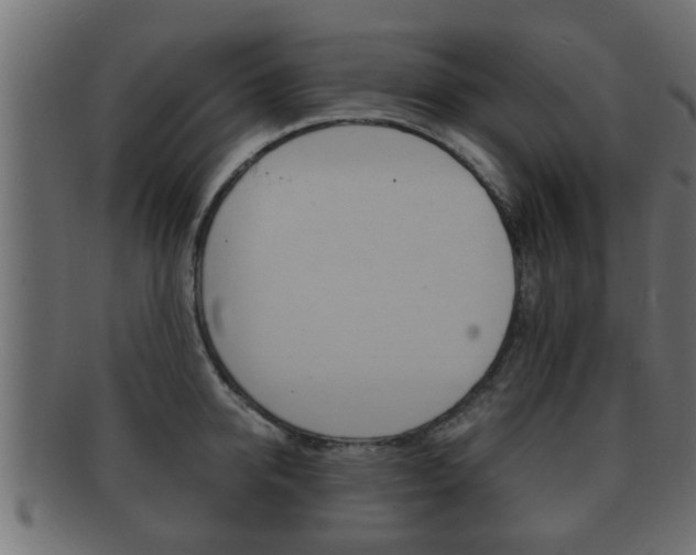 X0000092310950200709141028