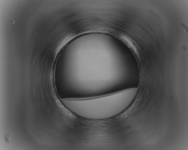 X0000092310952200709141028