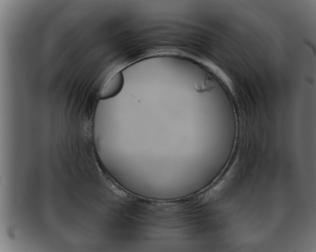 X0000092310953200709141028