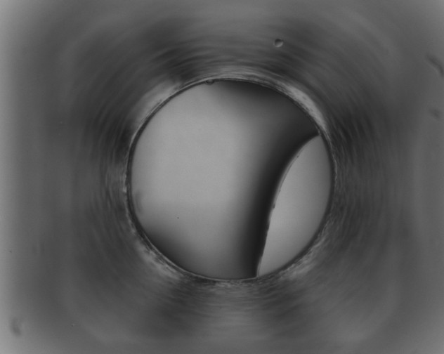 X0000092310954200709141028