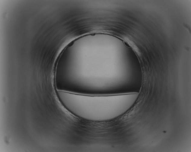 X0000092310955200709141028