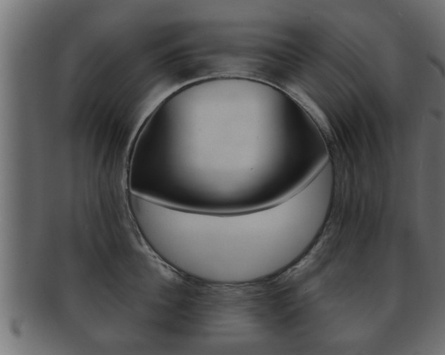 X0000092310956200709141028