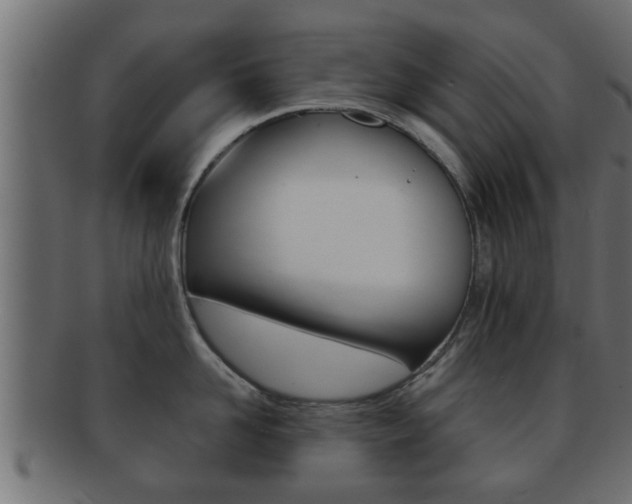 X0000092310958200709141028