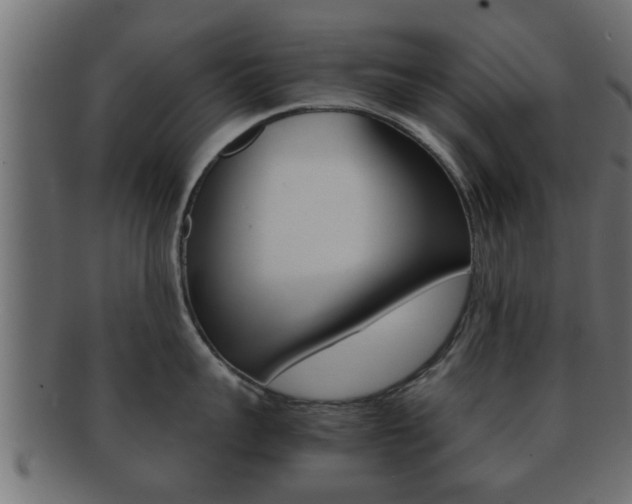X0000092310959200709141028