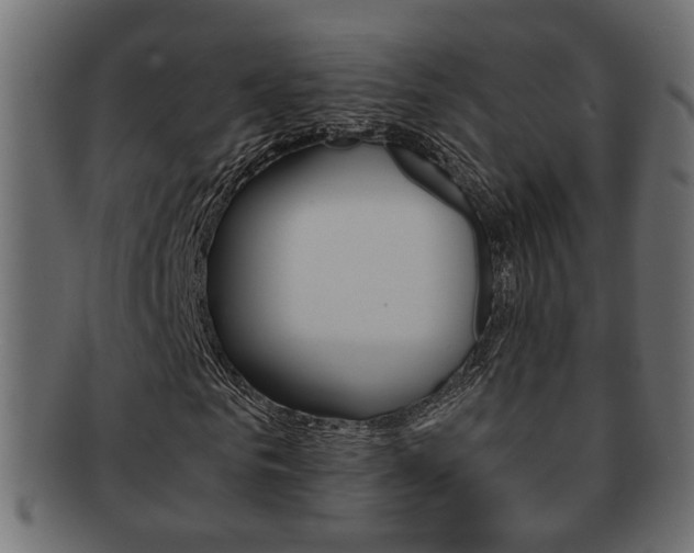 X0000092310961200709141027