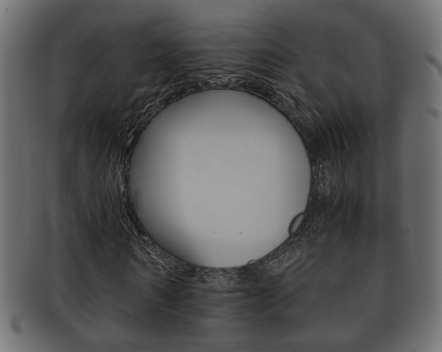 X0000092310962200709141027