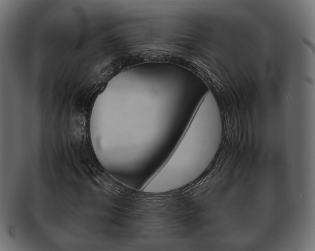 X0000092310964200709141027