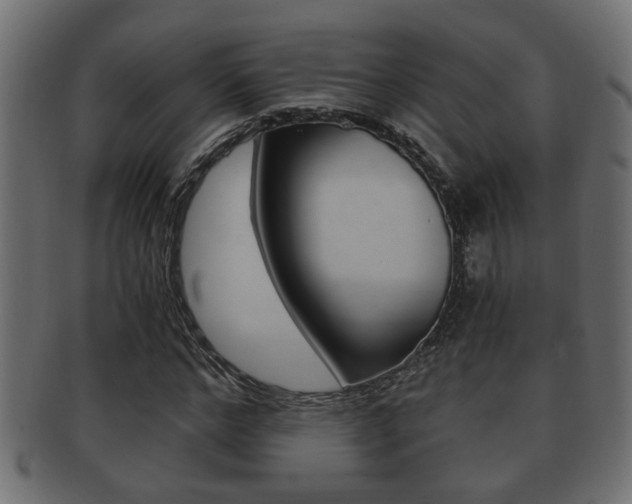 X0000092310968200709141027