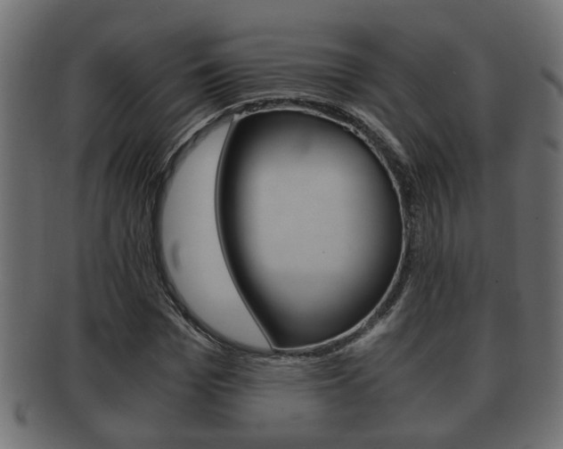 X0000092310969200709141027