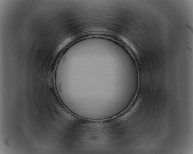 X0000092310970200709141027