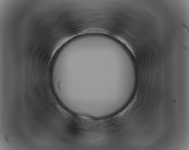 X0000092310973200709141027