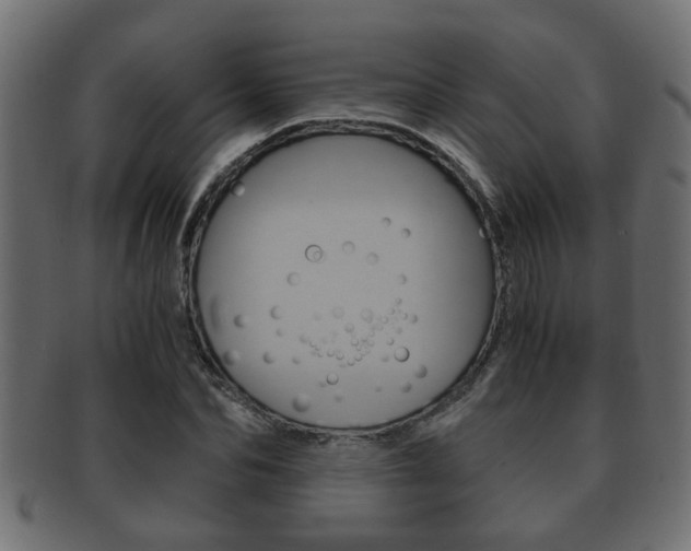 X0000092310974200709141027
