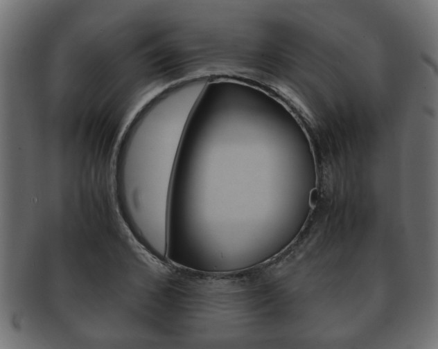 X0000092310976200709141027