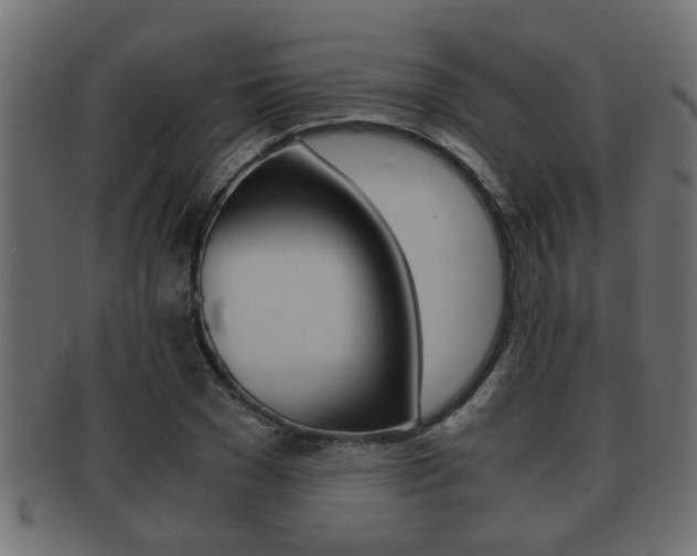 X0000092310977200709141027