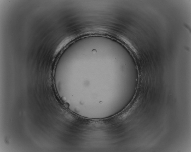 X0000092310978200709141027
