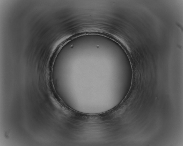 X0000092310979200709141027