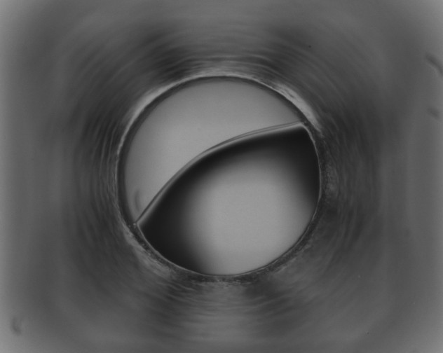 X0000092310980200709141027