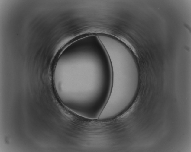 X0000092310981200709141027