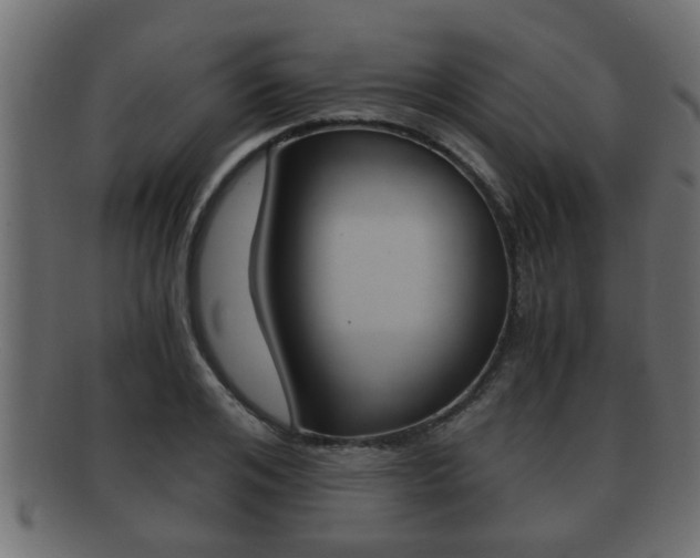 X0000092310984200709141027