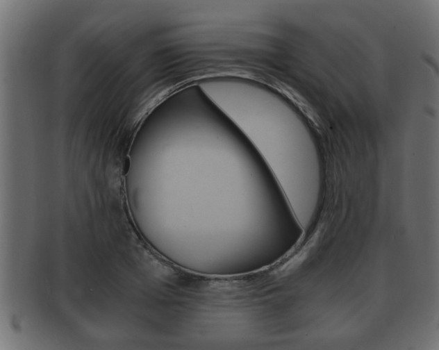 X0000092310985200709141027