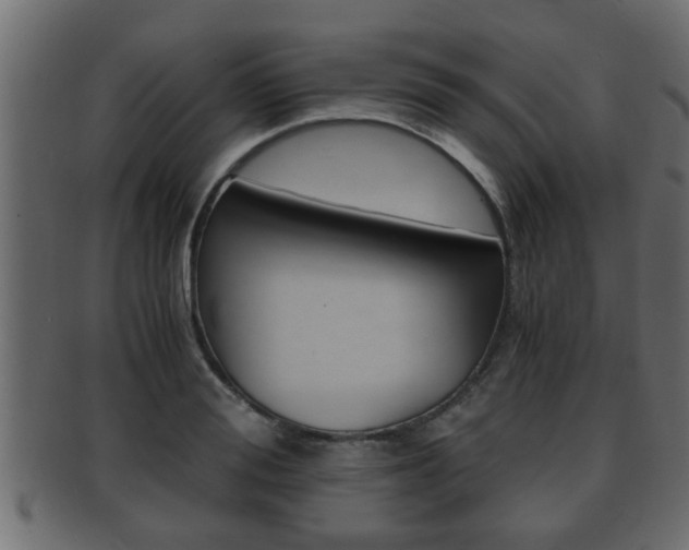 X0000092310988200709141027