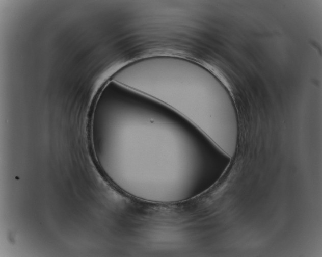 X0000092310995200709141027