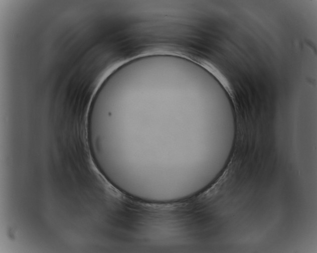 X0000092310996200709141027