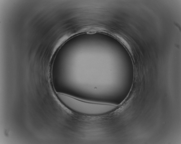 X0000092310997200709141027