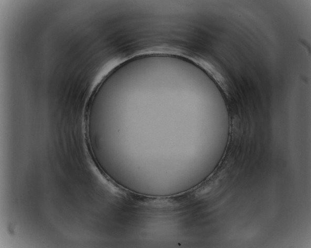 X0000092310998200709141027