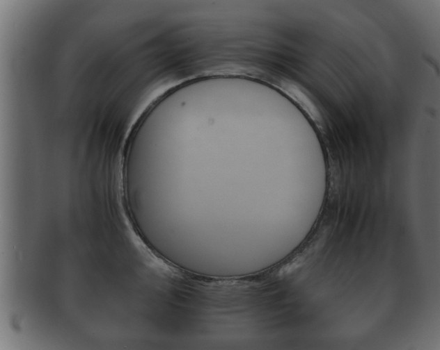 X0000092311000200709141027