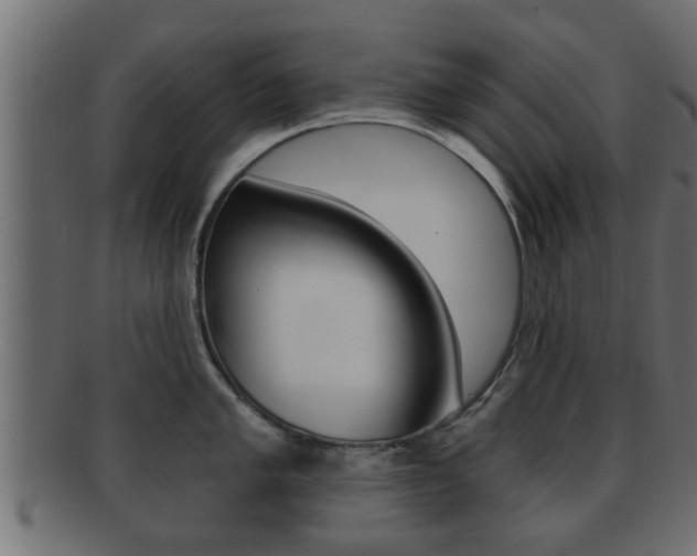 X0000092311005200709141027