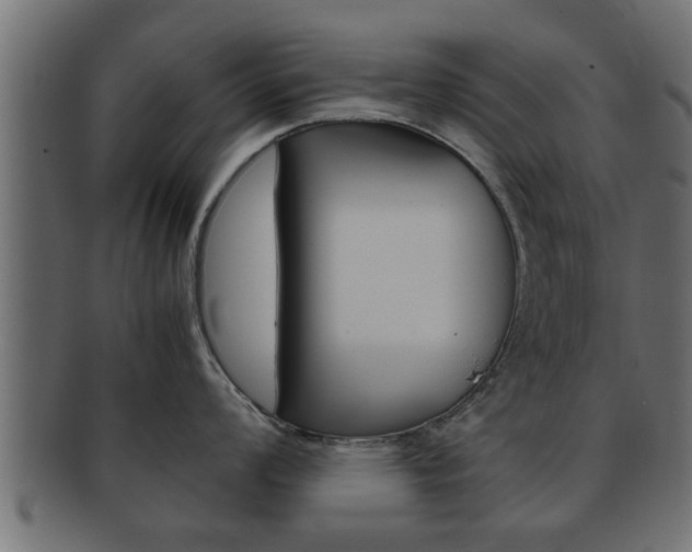 X0000092311008200709141027