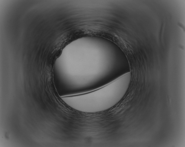 X0000092311012200709141026