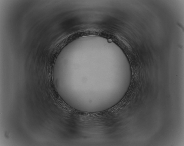 X0000092311015200709141026