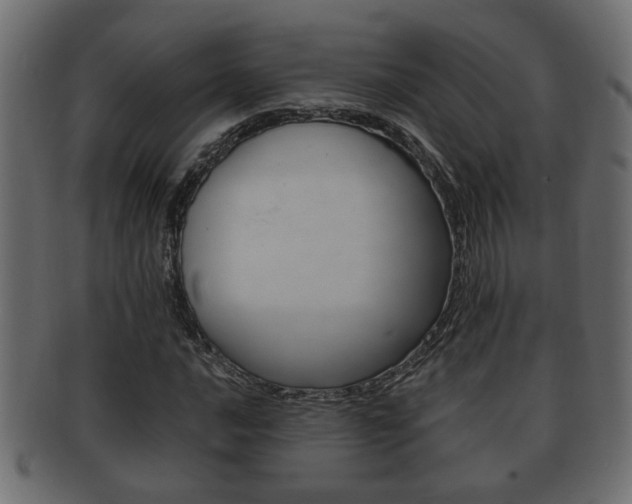 X0000092311016200709141026