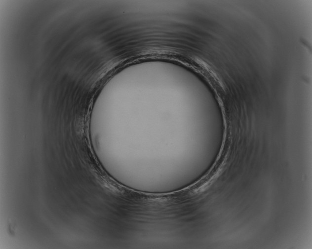 X0000092311017200709141026