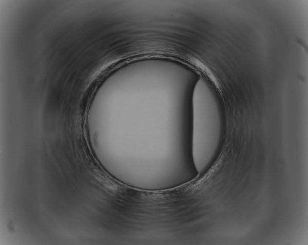 X0000092311019200709141026