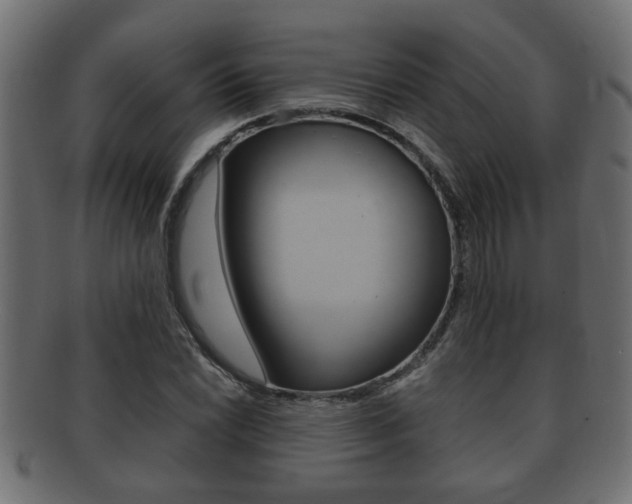 X0000092311022200709141026