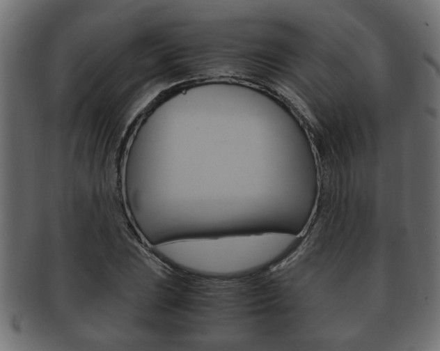X0000092311023200709141026