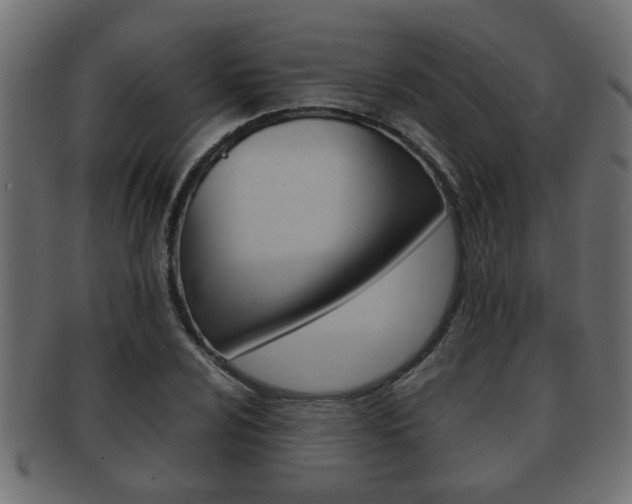 X0000092311024200709141026
