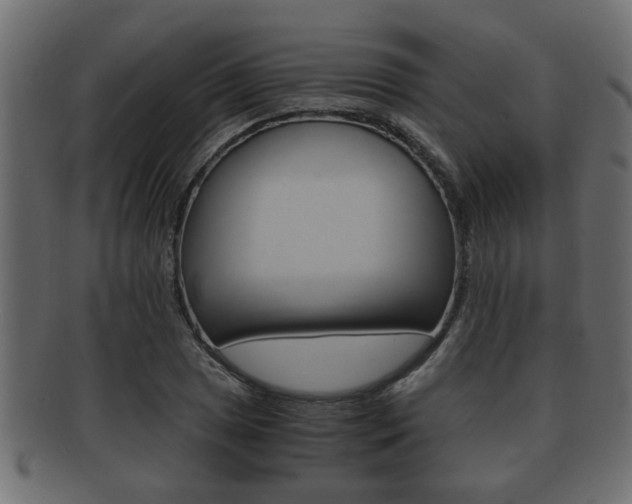 X0000092311025200709141026