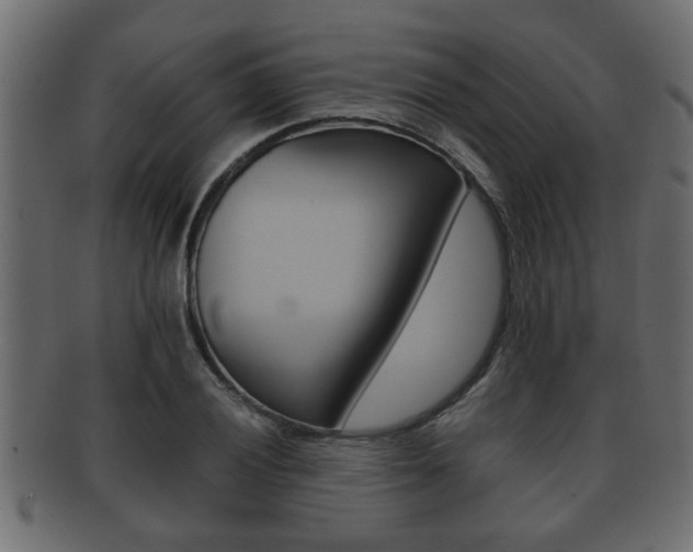 X0000092311028200709141026